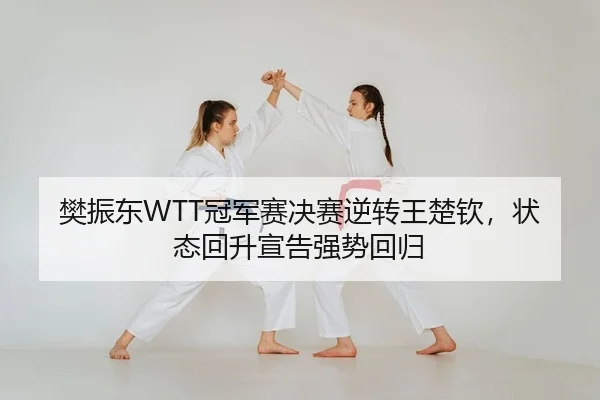 樊振东WTT冠军赛决赛逆转王楚钦，状态回升宣告强势回归